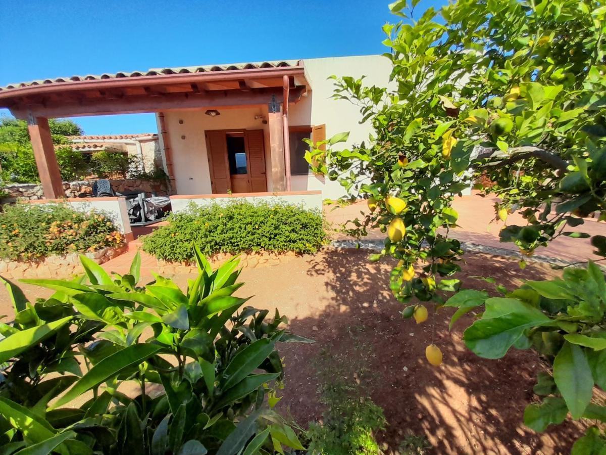 Mediterraneo Villa
